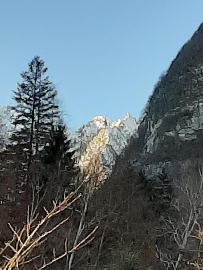 Apartamento Kalipe Dolomiti Soffranco Exterior foto